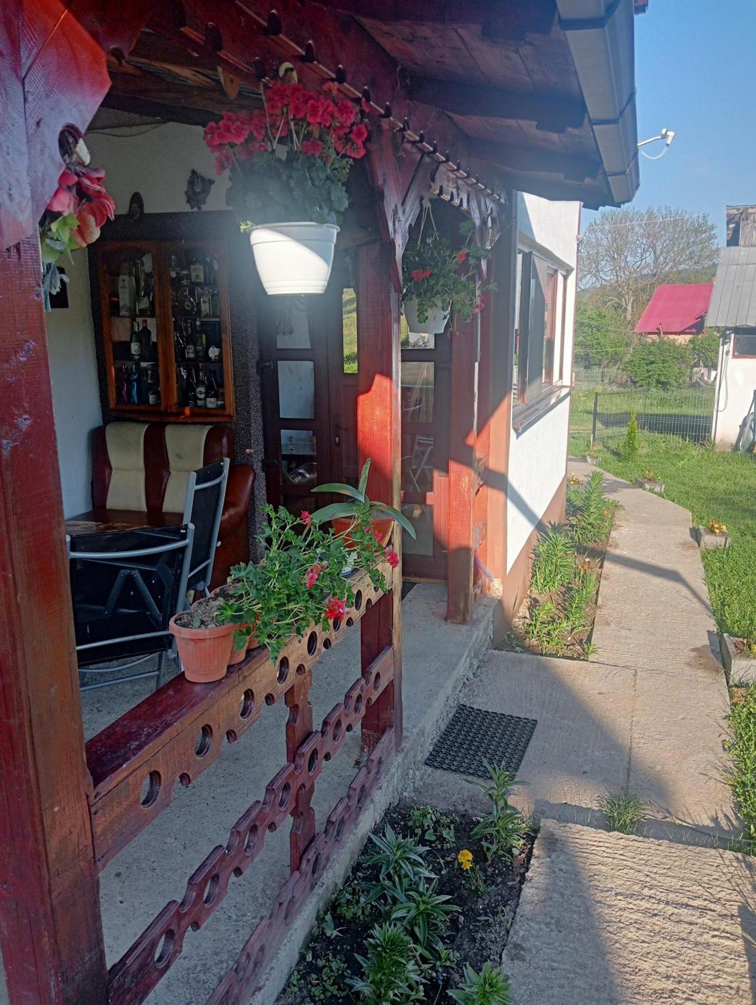 Penzion Casa Vasy Vatra Dornei Exteriér fotografie