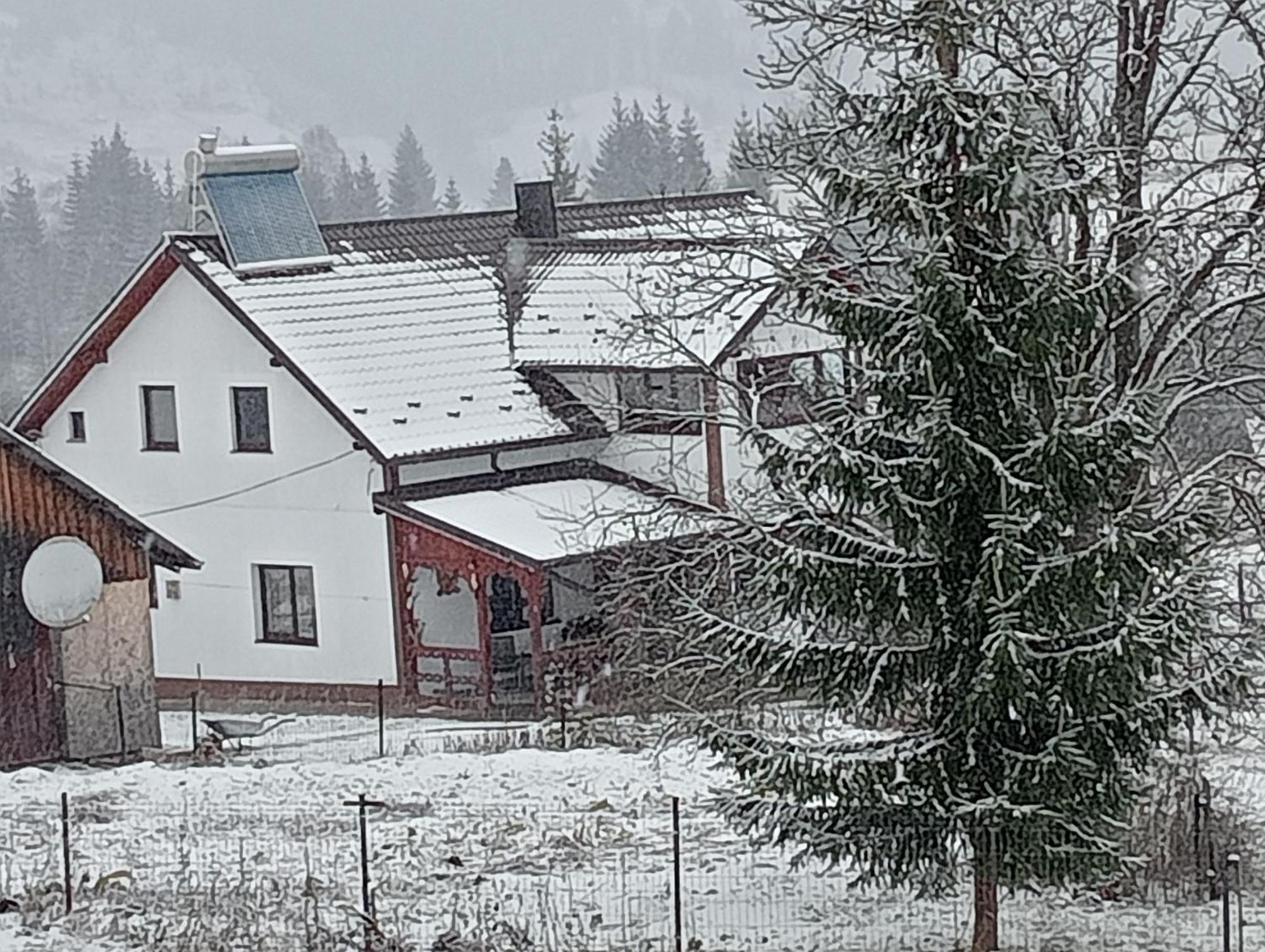 Penzion Casa Vasy Vatra Dornei Exteriér fotografie
