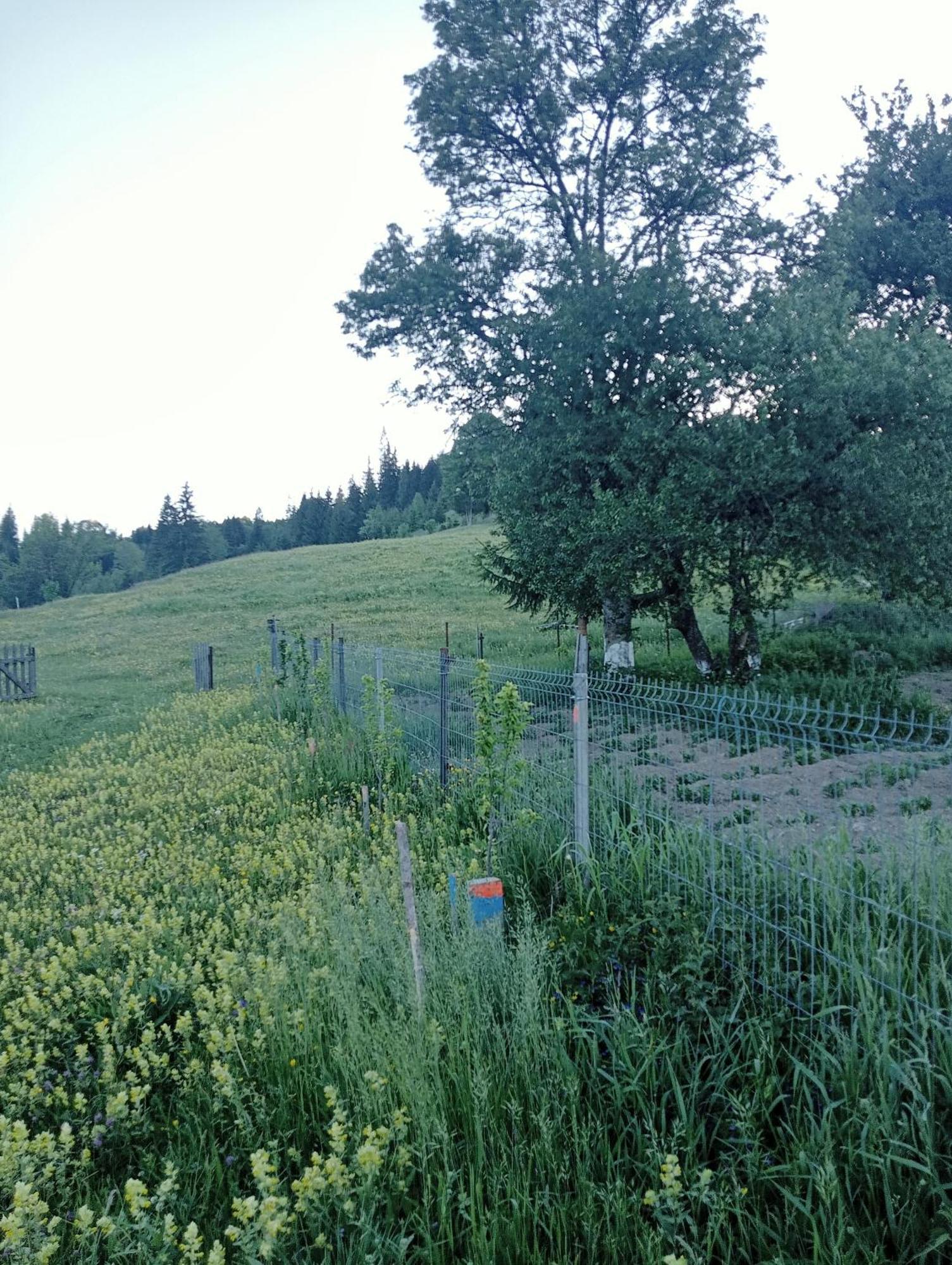 Penzion Casa Vasy Vatra Dornei Exteriér fotografie