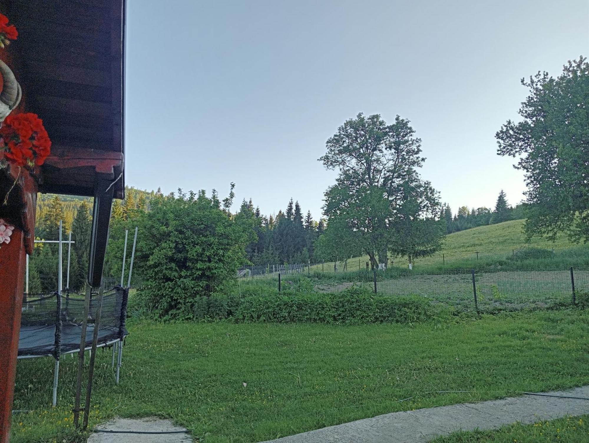 Penzion Casa Vasy Vatra Dornei Exteriér fotografie