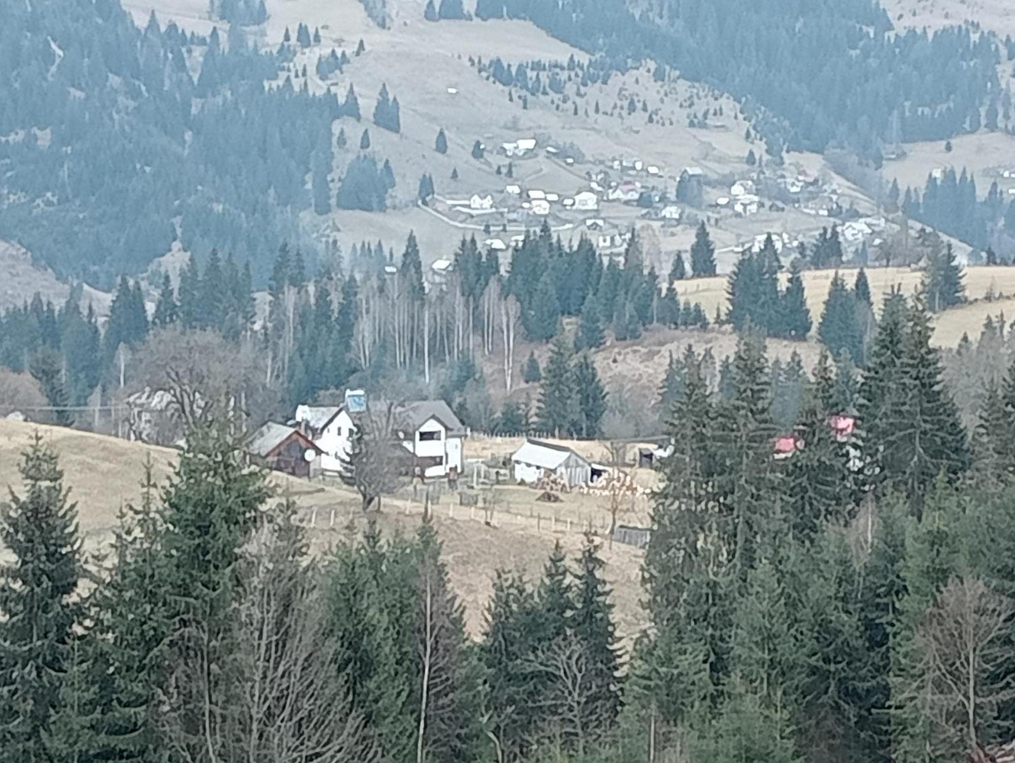 Penzion Casa Vasy Vatra Dornei Exteriér fotografie