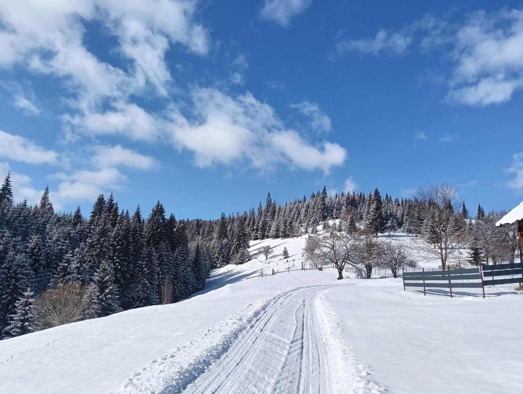 Penzion Casa Vasy Vatra Dornei Exteriér fotografie