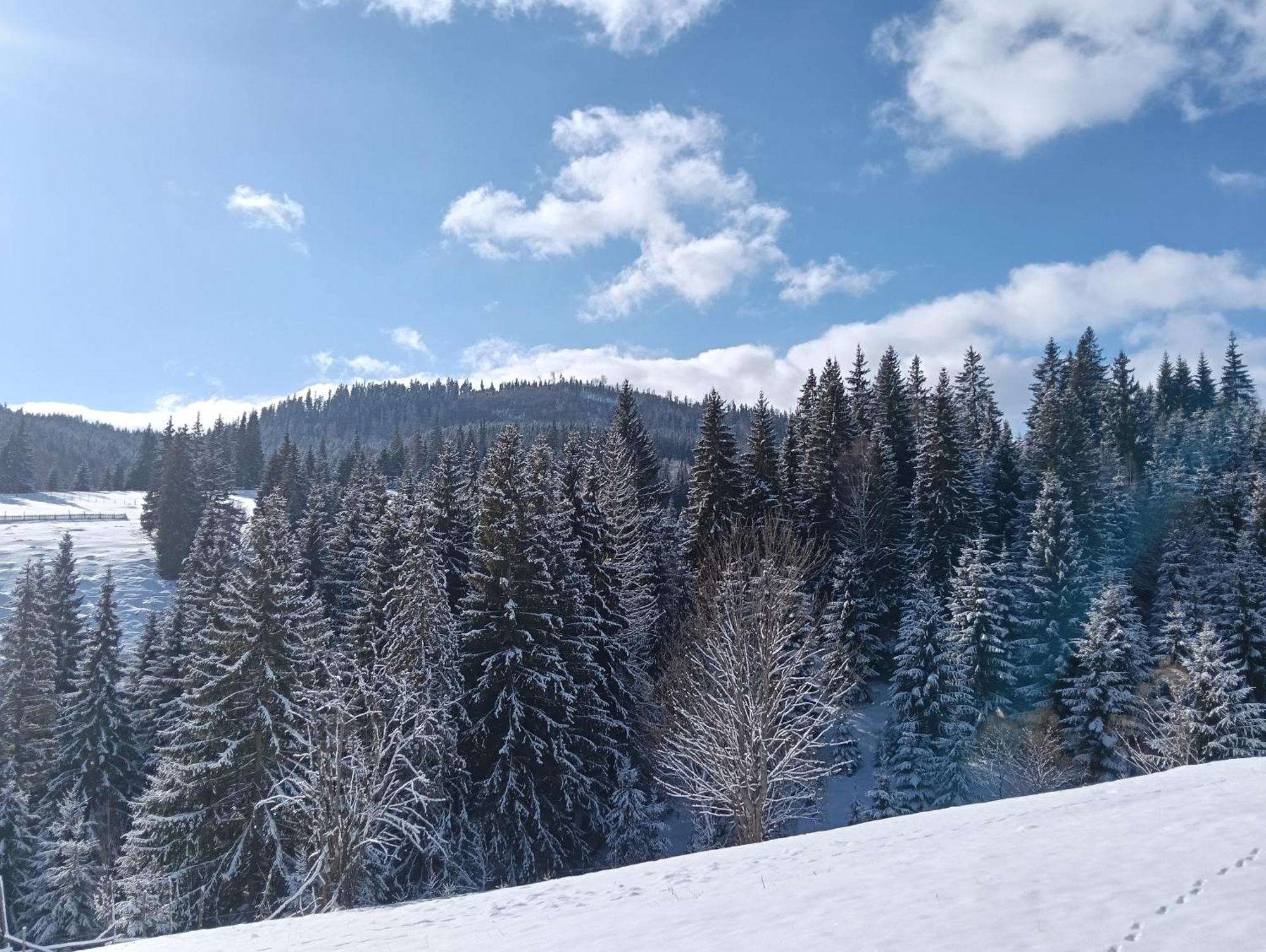 Penzion Casa Vasy Vatra Dornei Exteriér fotografie