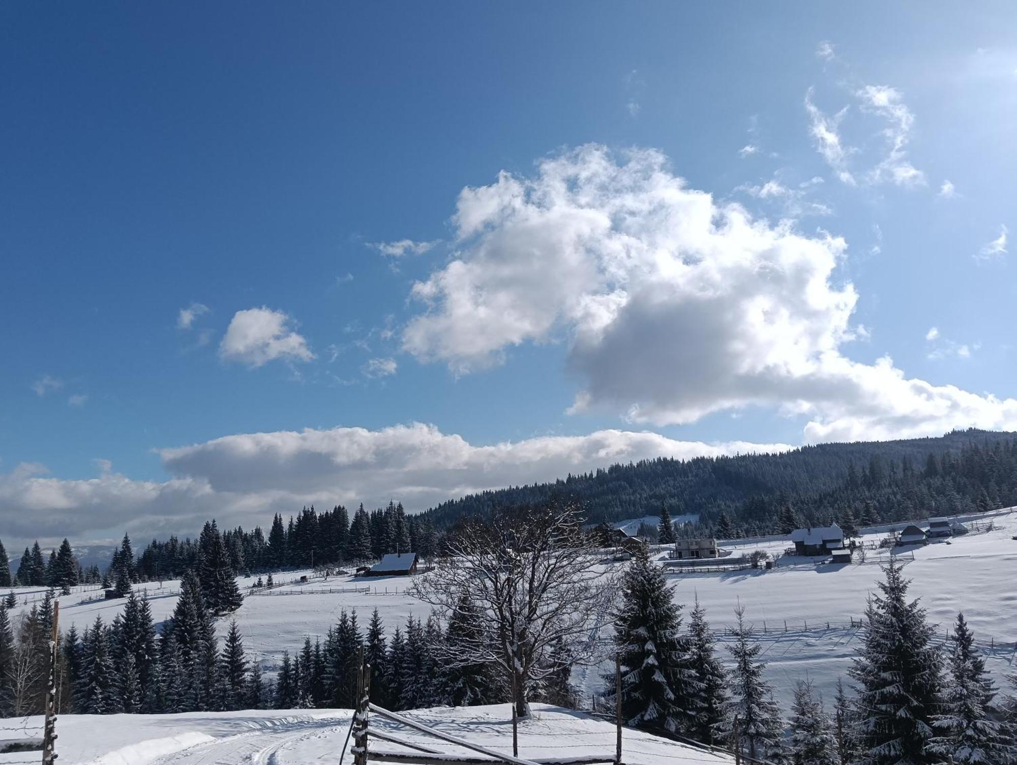 Penzion Casa Vasy Vatra Dornei Exteriér fotografie